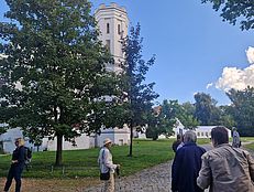 image-5655