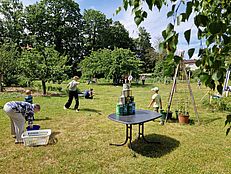 image-5479