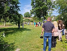image-5472