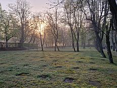 image-5606