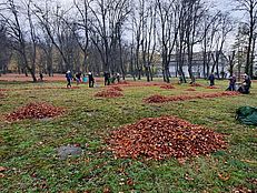 image-5695