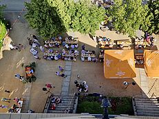 image-5625