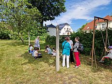 image-5477