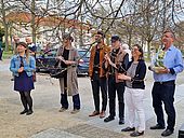 image-5286