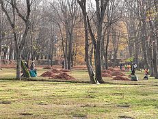 image-5698