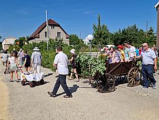 image-5614